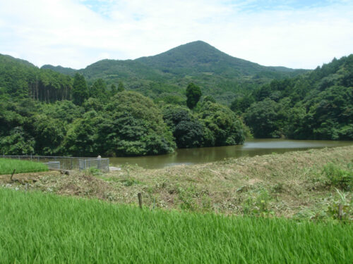Dsc01173 赤松付近