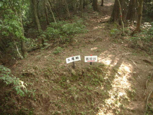 Dsc01238 矢尾峠