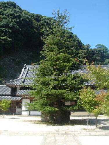 Dsc01364 一畑薬師参拝