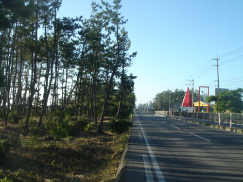 Dsc01489 国道431号と防風林
