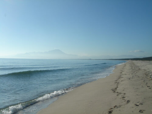 Dsc01493 弓ヶ浜海岸