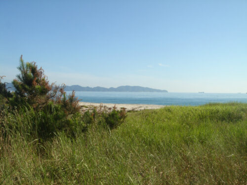 Dsc01497 弓ヶ浜海岸