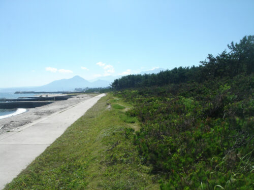 Dsc01504 護岸道