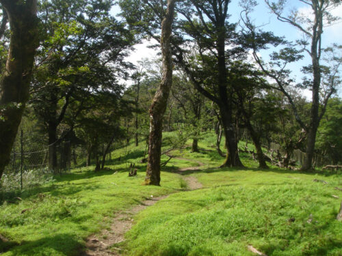 山道歩き