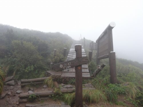 Dsc00005 天然記念物の自然林