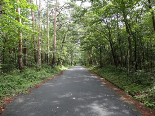 Dsc00071 大山青年の家の前