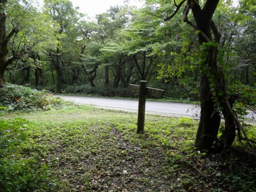 県道158号に合流