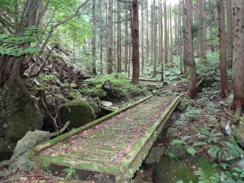 Dsc00380 山道歩き