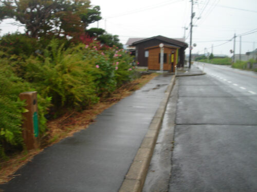 小雨の中