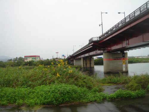 Dsc01861 八千代橋