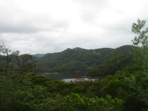 多鯰ヶ池