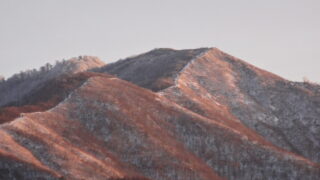 蒜山（ひるぜん）