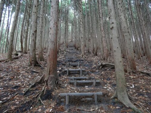 Dsc00852 山道歩き