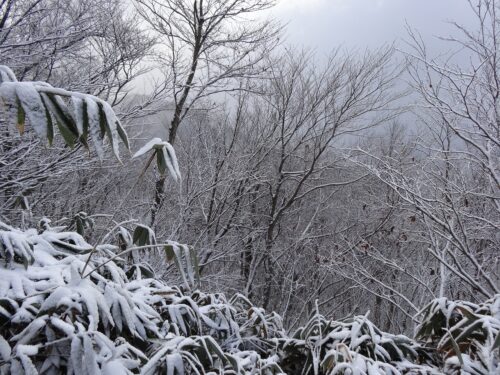 Dsc00867 上蒜山へ