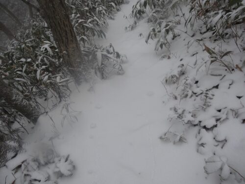 Dsc00890 雪道