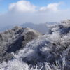 由布岳霧氷
