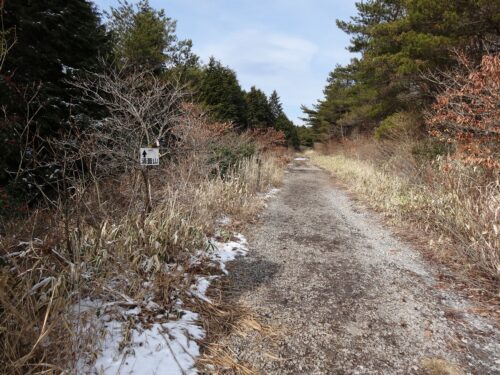 Dsc01085 林道