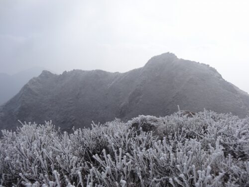 Dsc01161 頂上から望む、東峰(1580m)