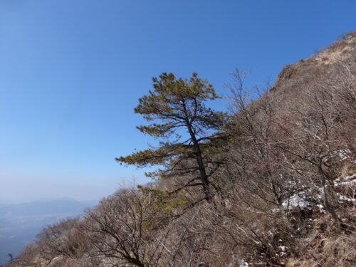 Dsc01213 下り道