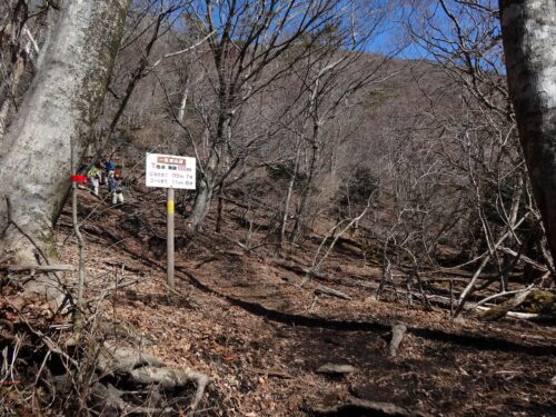 Dsc01251 標高1000m
