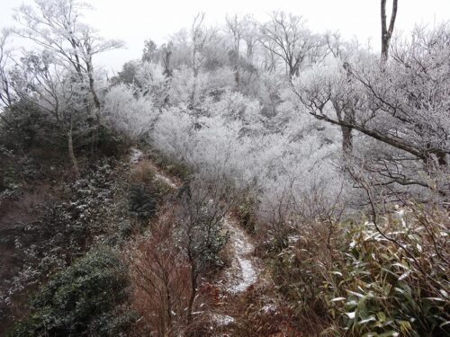 Dsc01359 霧氷