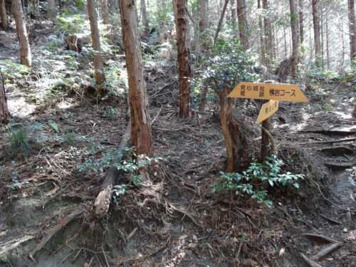 Dsc01407 横岩コースとの合流地点
