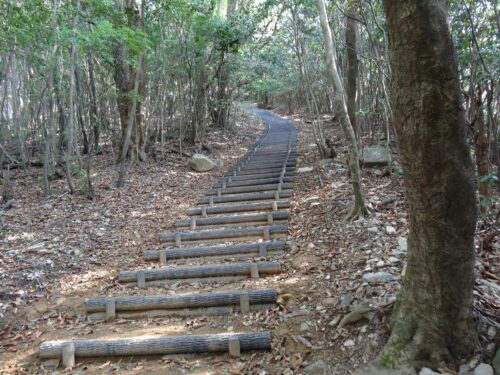 山道歩き