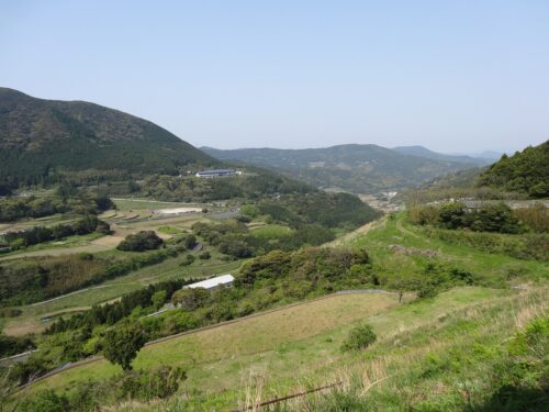 田んぼ