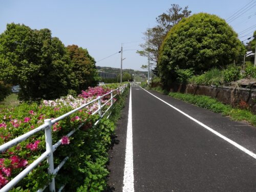 Dsc01739 自転車専用道路
