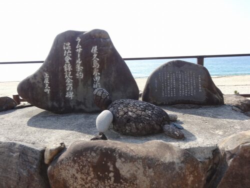 Dsc01820 永田 いなか浜