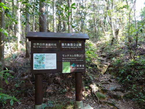 Dsc01858 モッチョム岳登山口