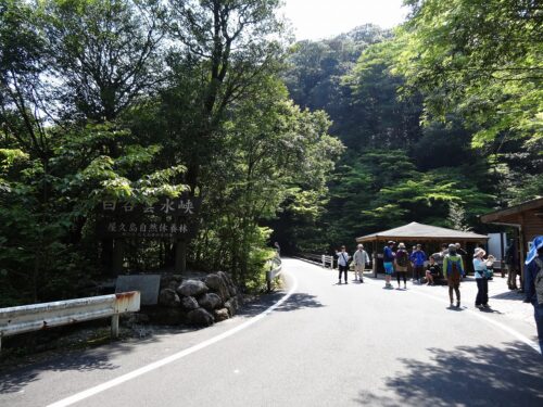 Dsc01872 白谷雲水峡入口