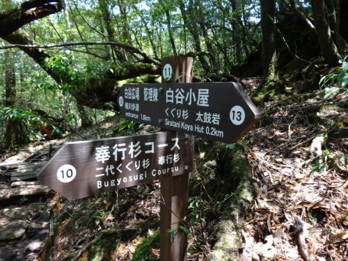 白谷小屋への道しるべ