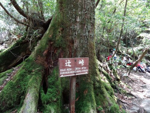 辻峠