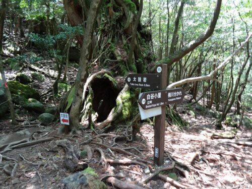 Dsc01913 辻峠の道しるべ