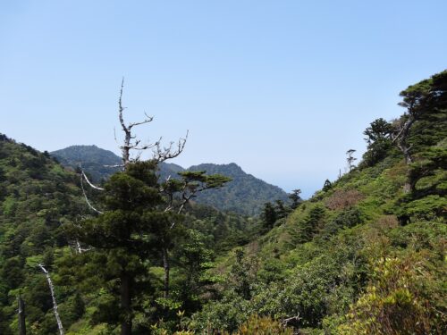 Dsc01916 太鼓岩