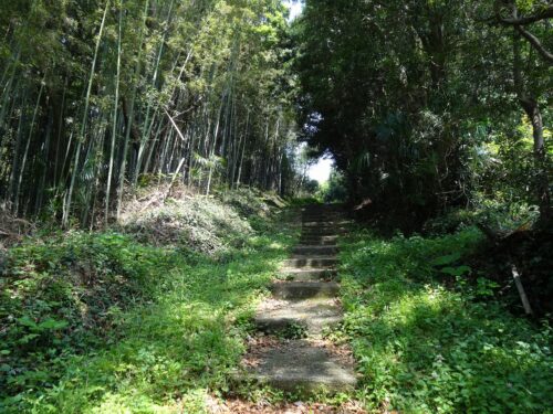 Dsc02053 平戸街道を歩く