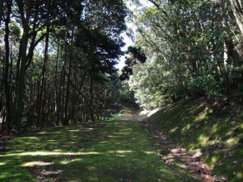 Dsc02207 川内峠園地内の歩道