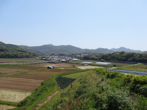 紐差町