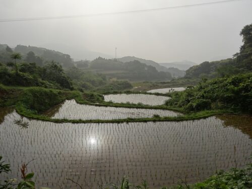 Dsc02412 棚田