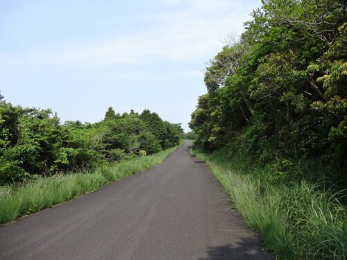 Dsc02432 林道
