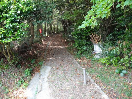 Dsc02448 登山道