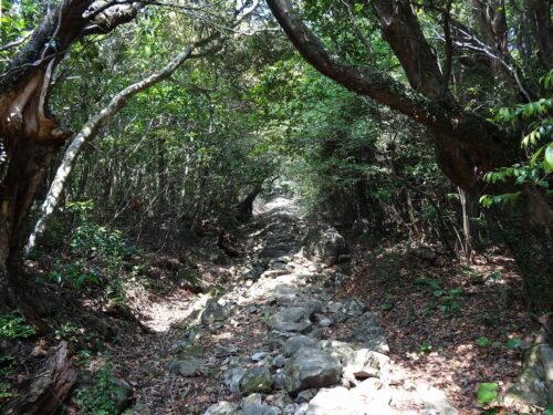 登山道