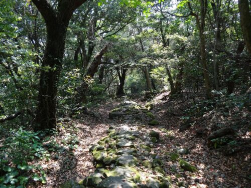 Dsc02468 頂上からの下山