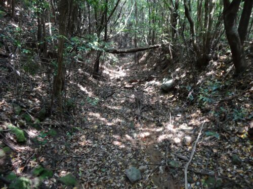 Dsc02470 下山道