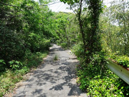 Dsc02489 旧道