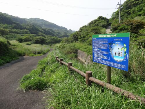 Dsc02561 神の川ホタルの里