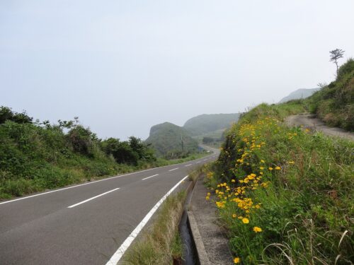Dsc02585 農免道路