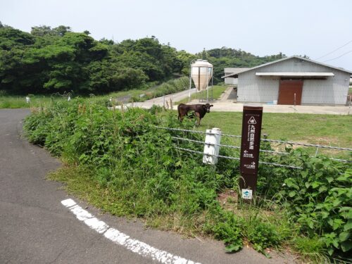 Dsc02604 牧場と道しるべ