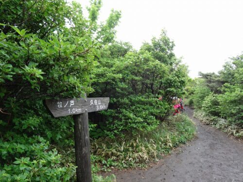 Dsc02708 道しるべ